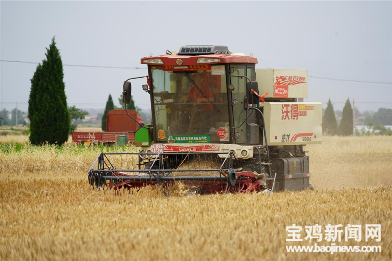 「寶雞三夏進行時」一位農(nóng)機手的糧食安全觀