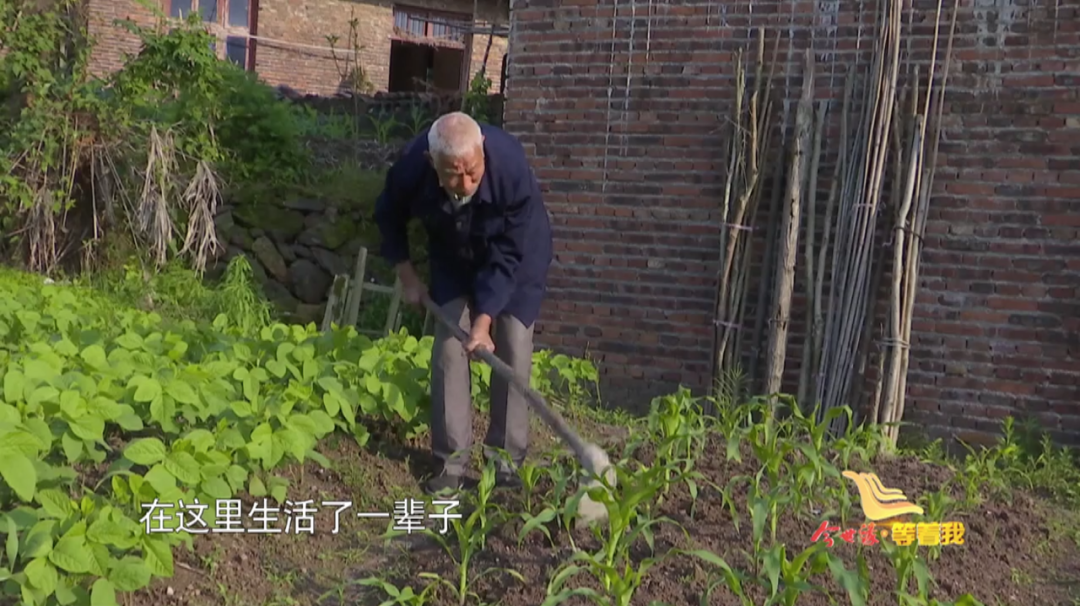 《今世缘·等着我》今晚播出：11封家书寄深情，盼望英魂早日还乡