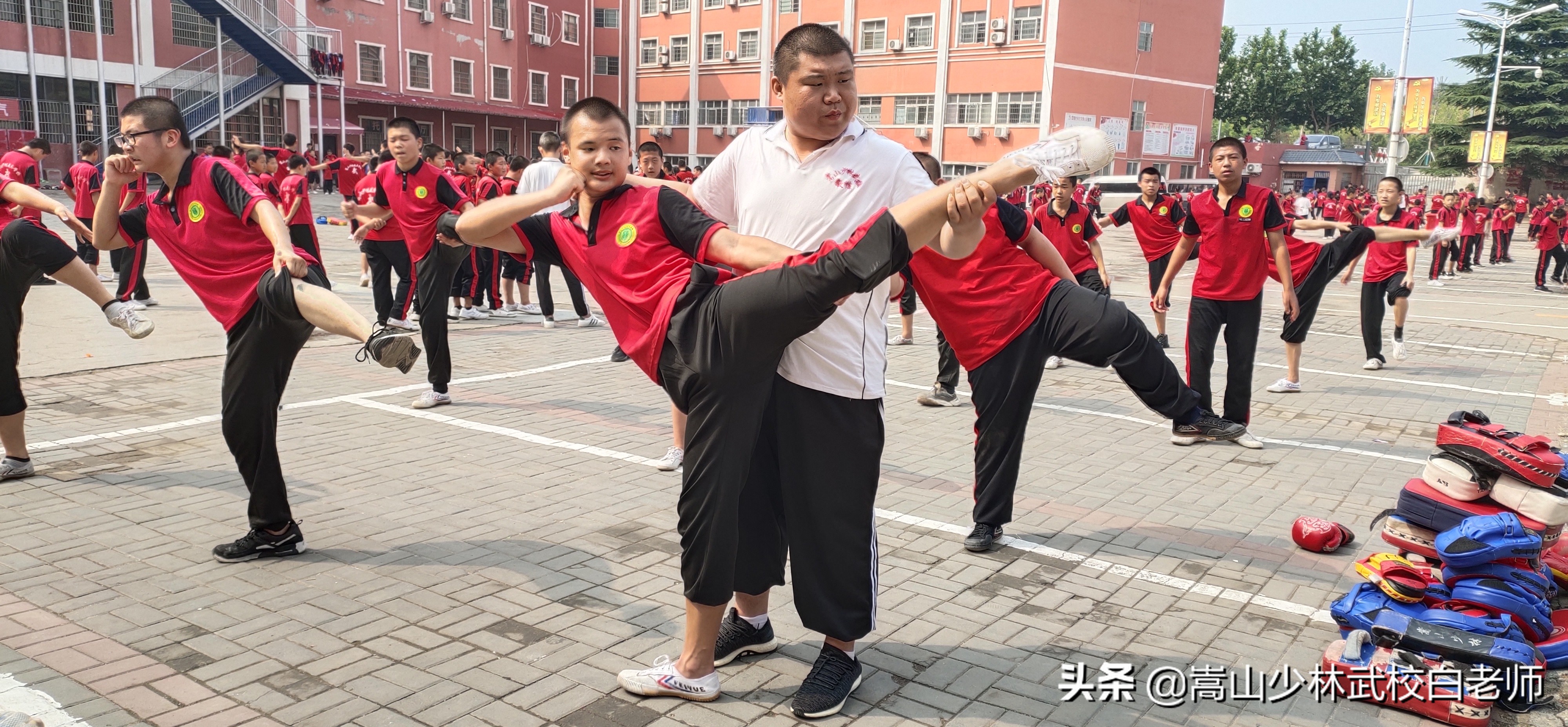 体育武术课考什么女生(如何训练散打？女孩学散打好还是跆拳道好？)