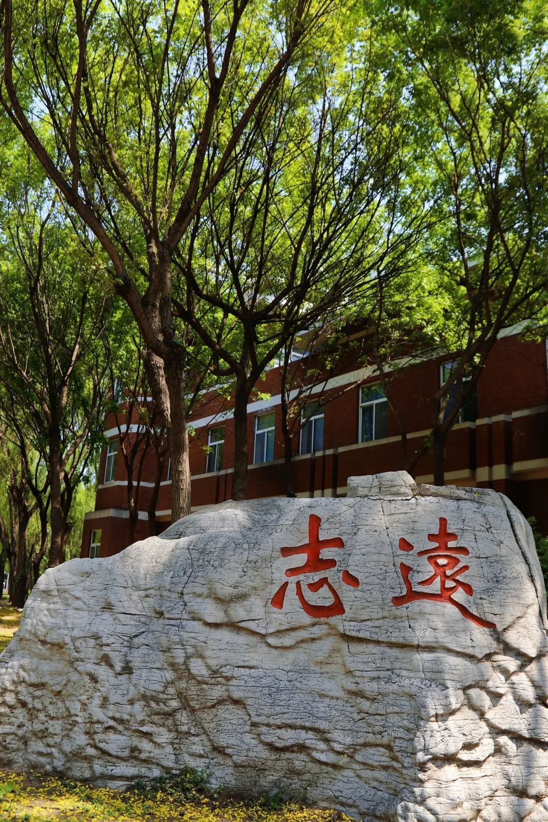 恒德时令志 | 谷雨