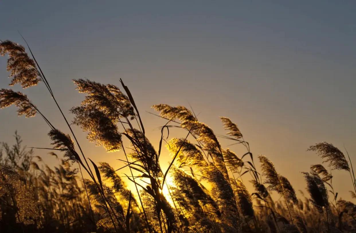 2022晚风太惬意的朋友圈唯美句子