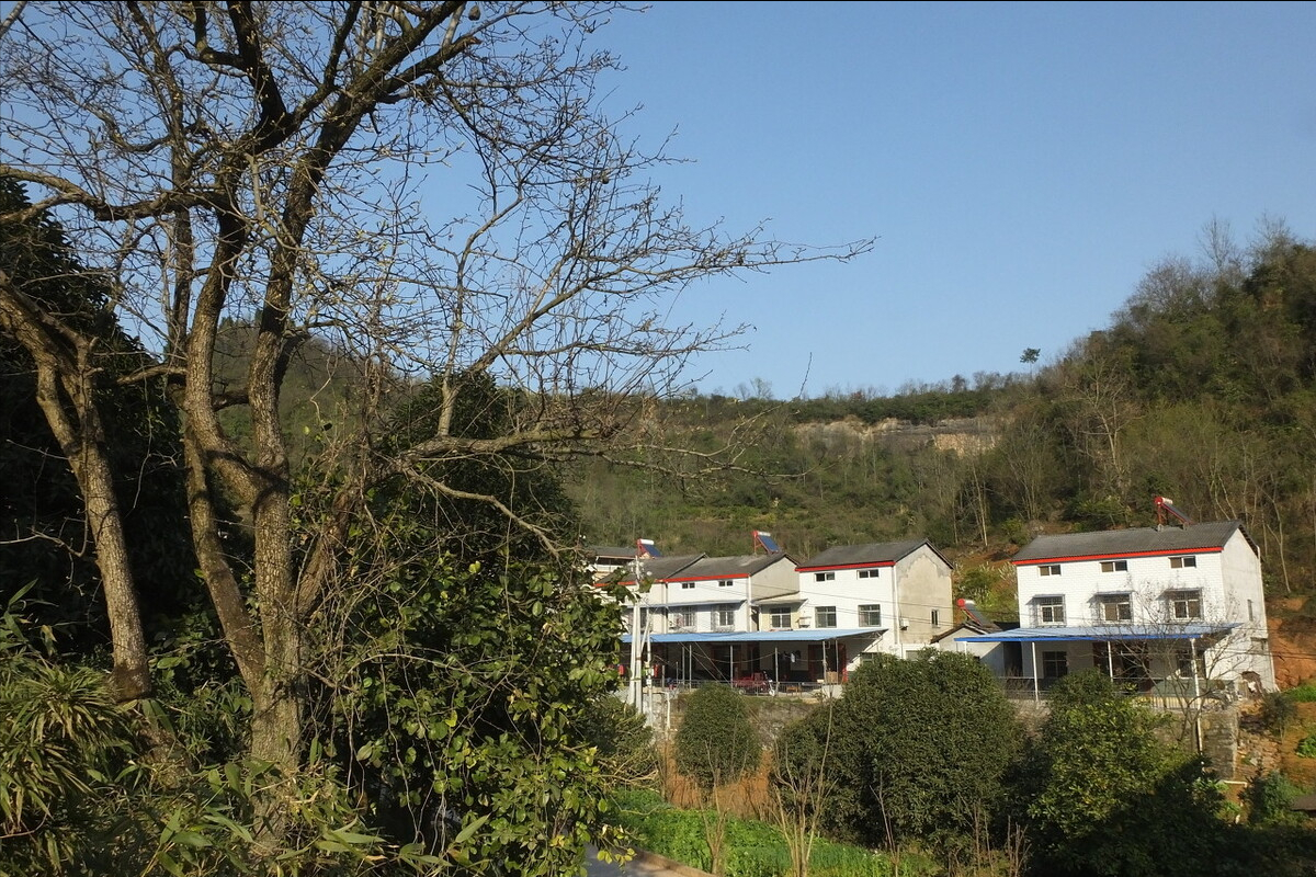 农村宅基地及住宅超占面积，这3种风险要注意