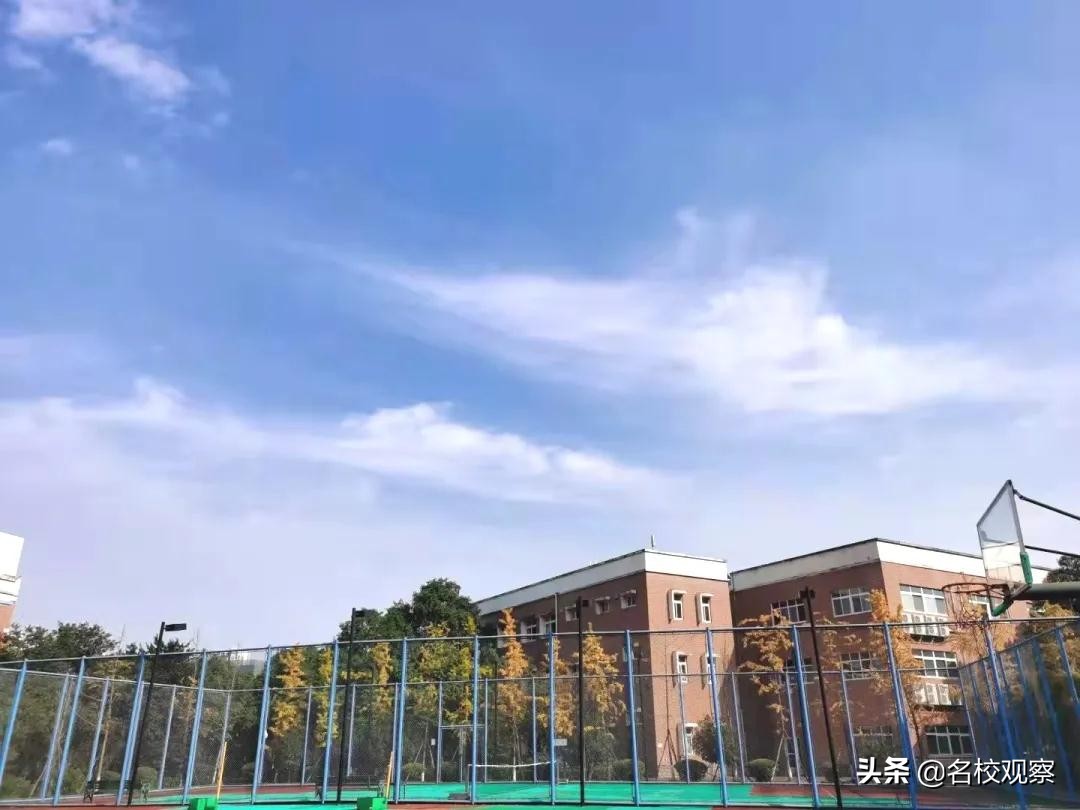 大批offer袭来！在美视国际，实现青春的梦想，成为最好的自己