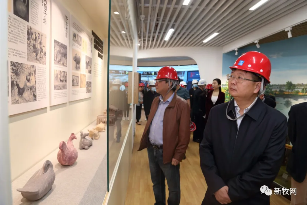 再也不用担心广东土猪土鸡会灭种了！投资5000万元的广东省畜禽种质资源库建成投入运行