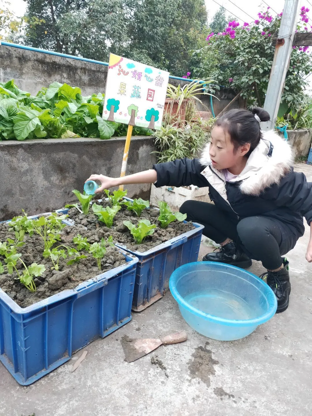 上好每一节劳动课——四川天府新区新兴小学开展劳动教育课程