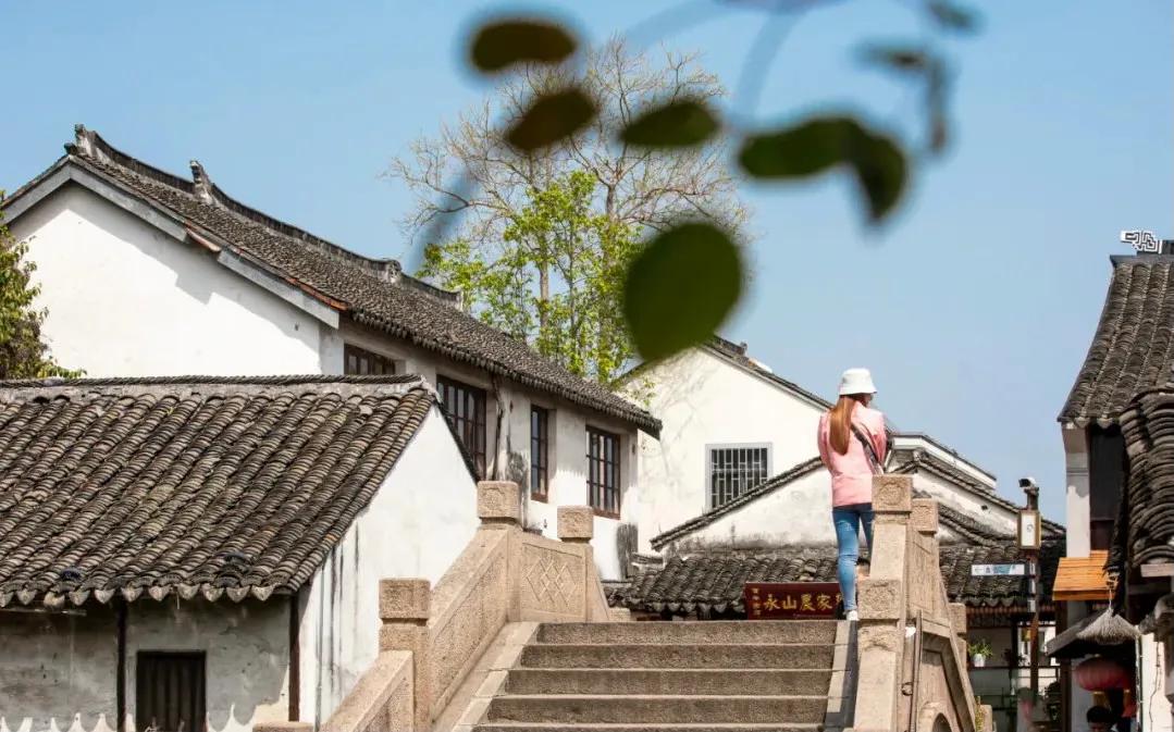 五一小長假怎麼玩?打卡水鄉周莊古鎮,玩轉春日花樣生活