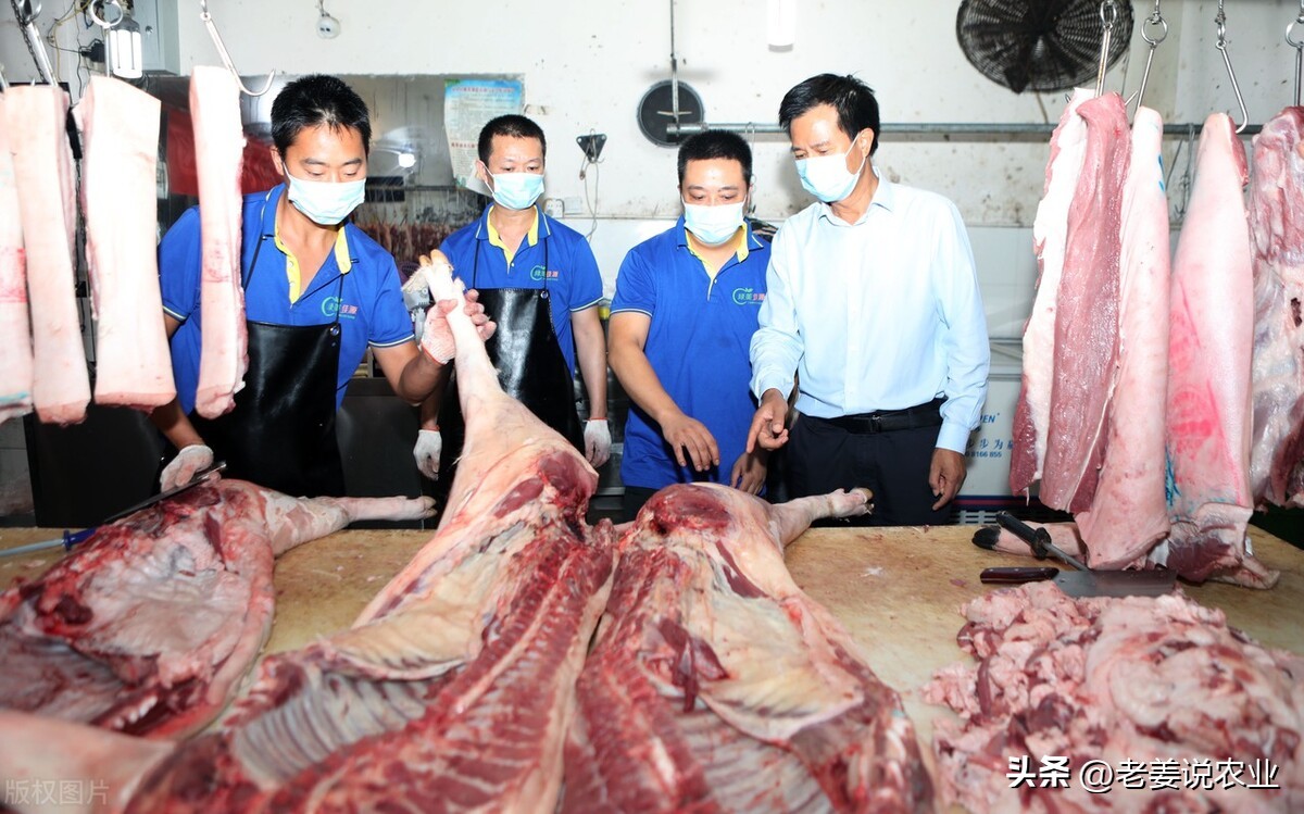 今日唐山市场猪肉价格（今日猪肉市场最新价格）