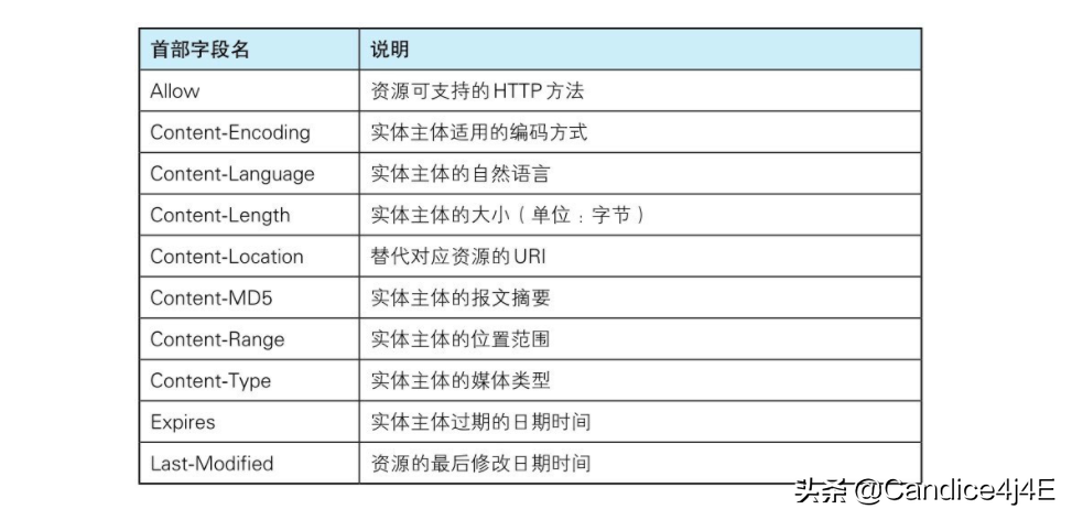 你必须知道的常用的报文首部字段