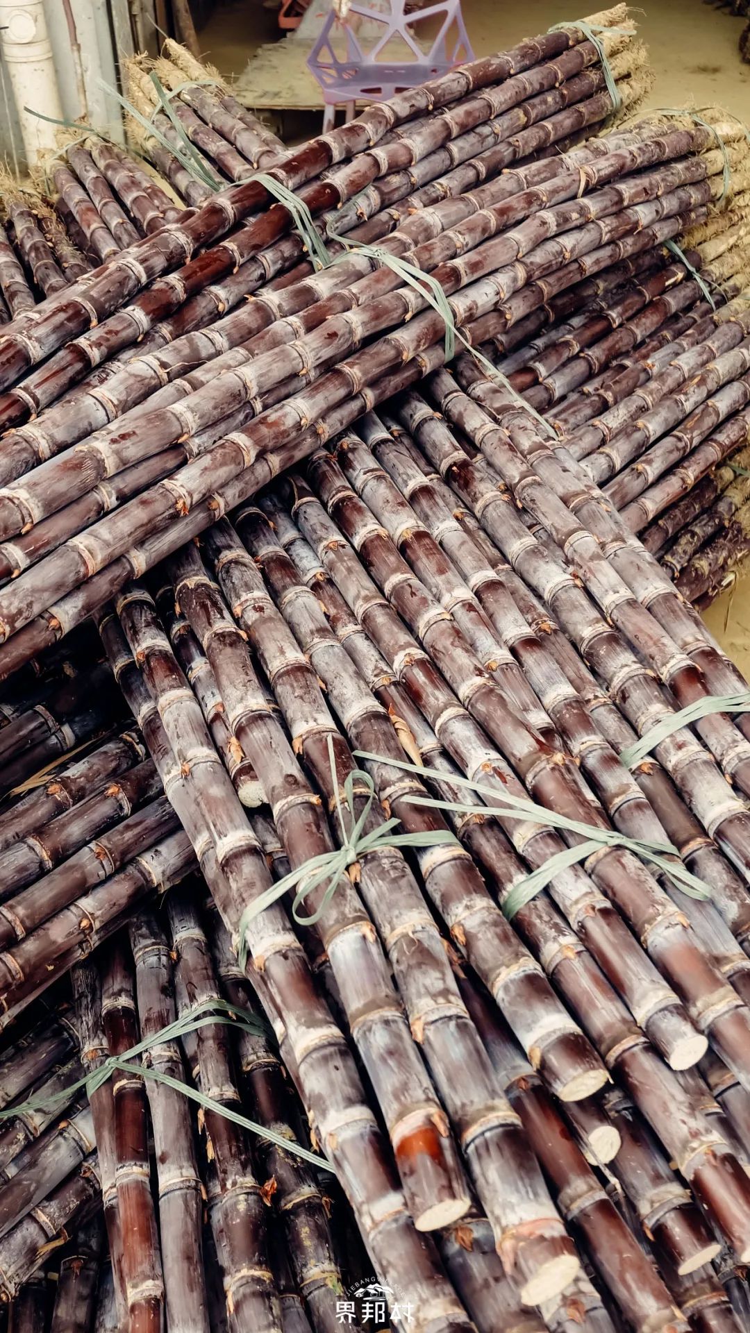 好意头!广西人不仅春节吃甘蔗,平时也少不了它