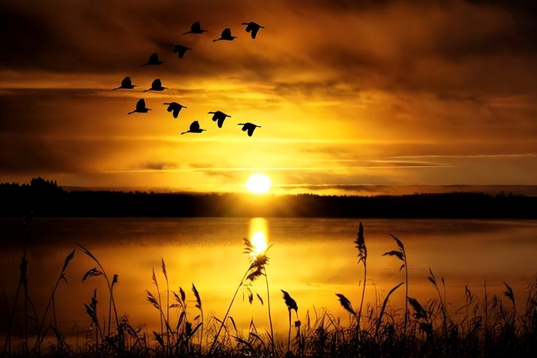 中国文学史上45首关于爱情的经典诗词，你最喜欢哪一首？