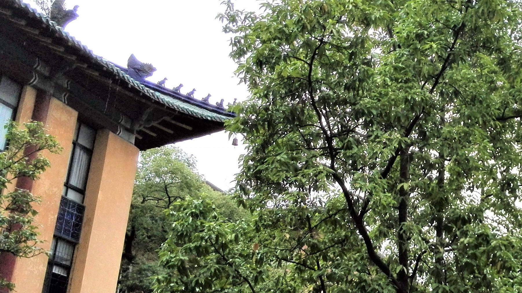 中山大学：广东人眼里的华南一霸，知名度不过长江？