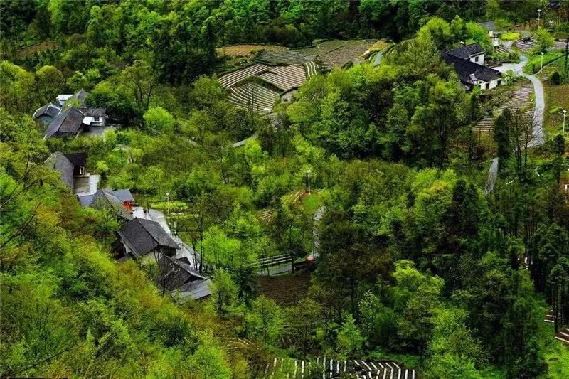 快乐不打烊！宜昌这些地方景美人少还免费！