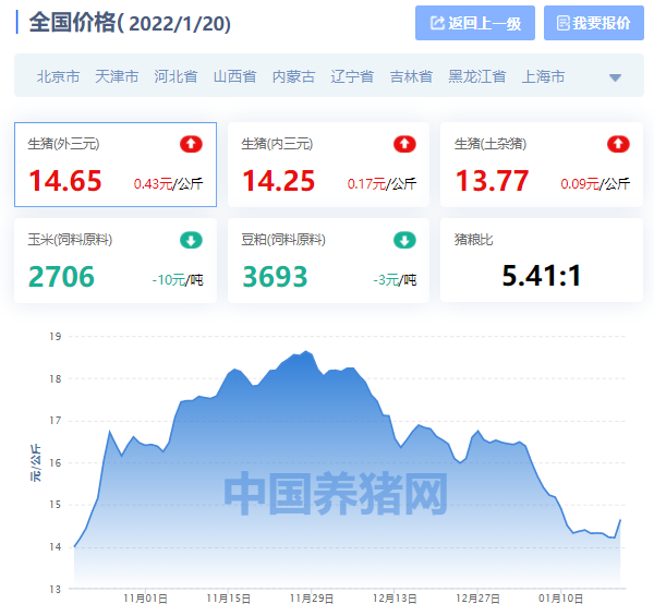 全国生猪价格涨跌排行榜：今日猪价走势分析