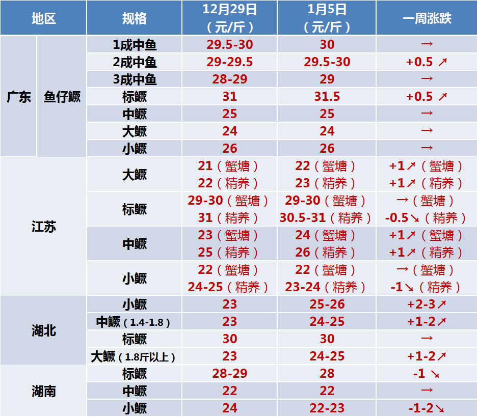 贵妃鱼多少钱一斤图片