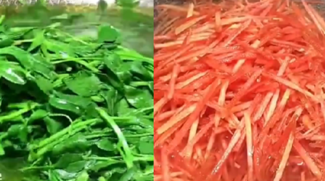 苜蓿素馅饺子怎么做好吃（教你做出味道鲜的苜蓿素馅饺子）