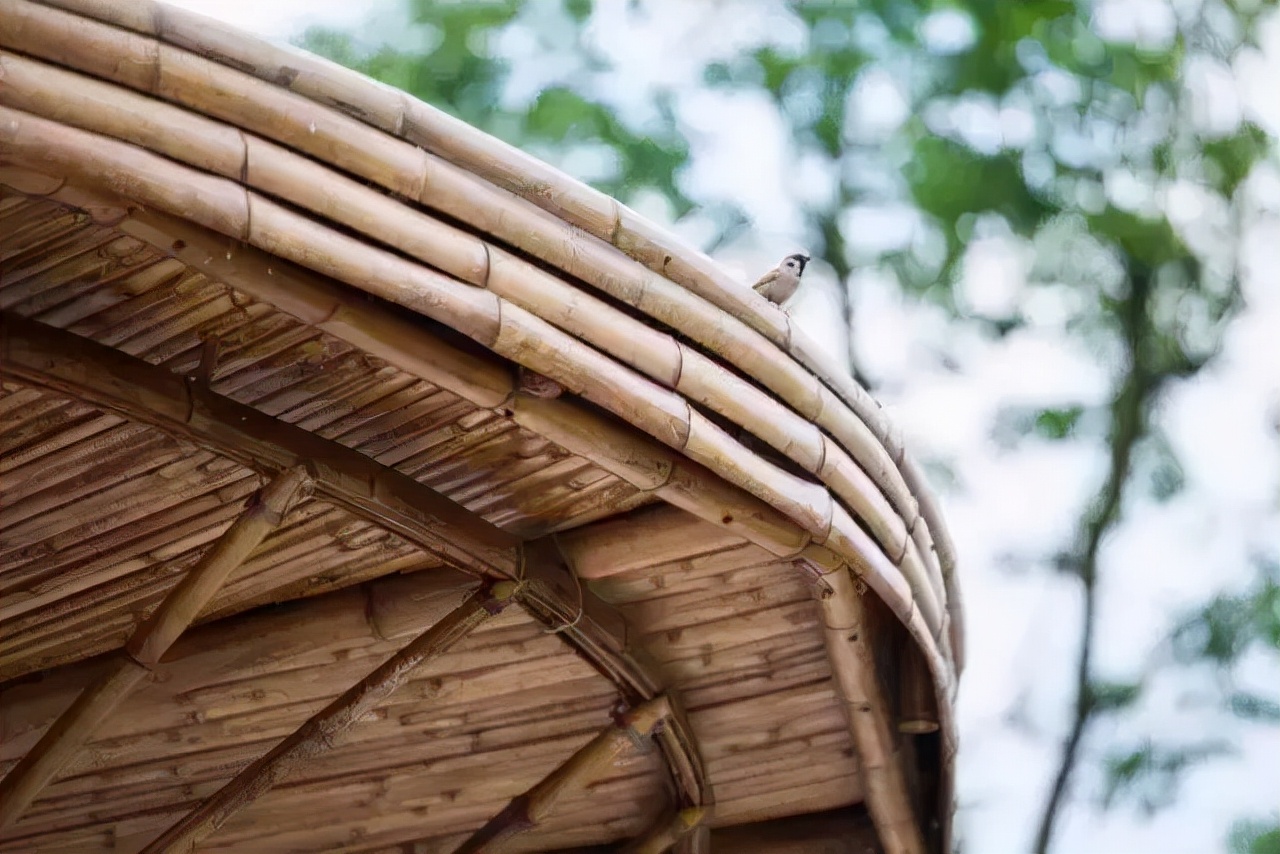 22个乡村改造案例：重构中国乡村风貌