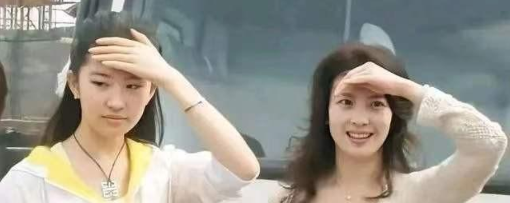 刘晓莉:长得比女儿刘亦菲还美,两婚两离,64岁仍单身