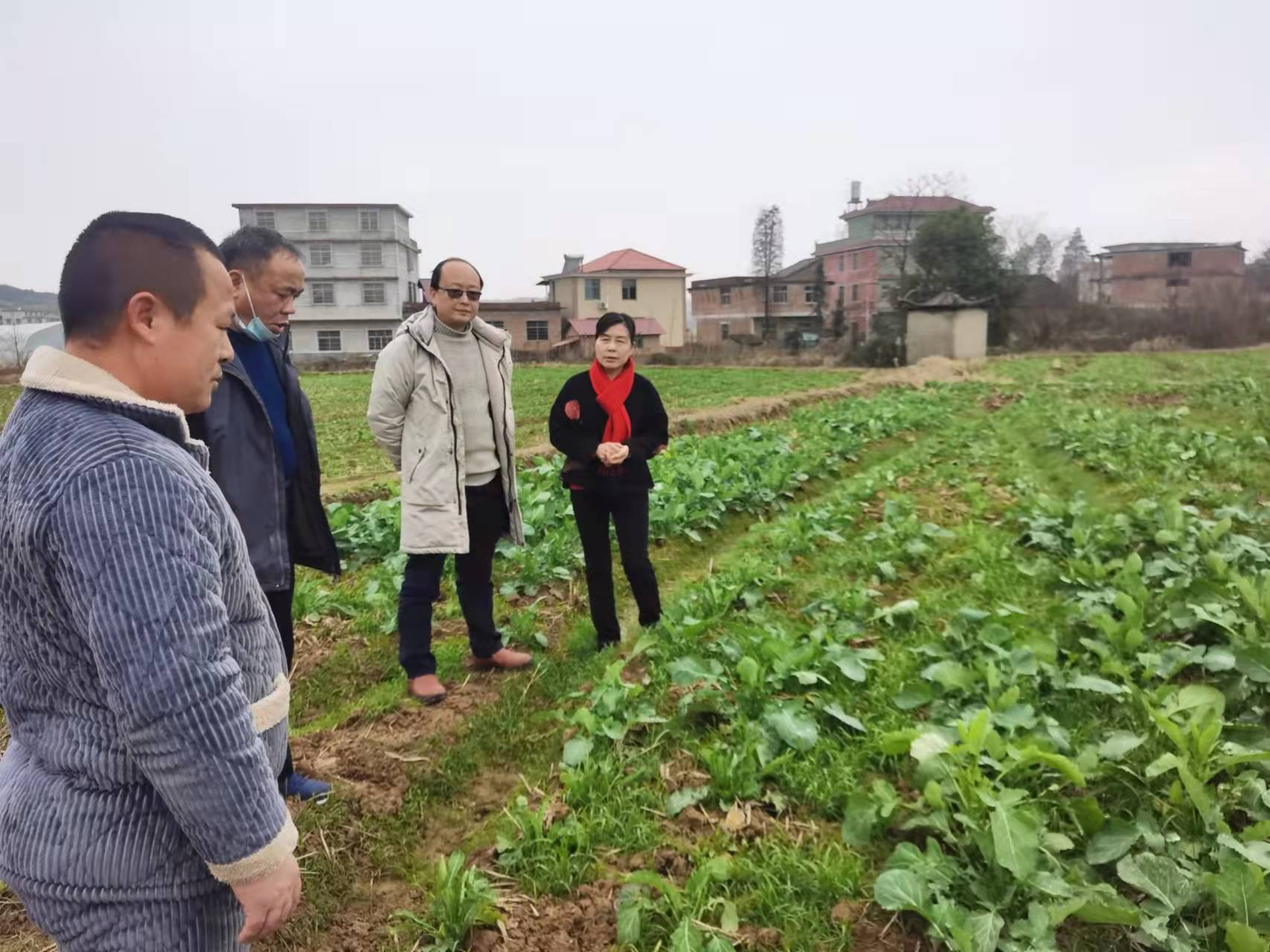 邵东：加快推进绿色种养循环，助力乡村振兴和化肥减量增效