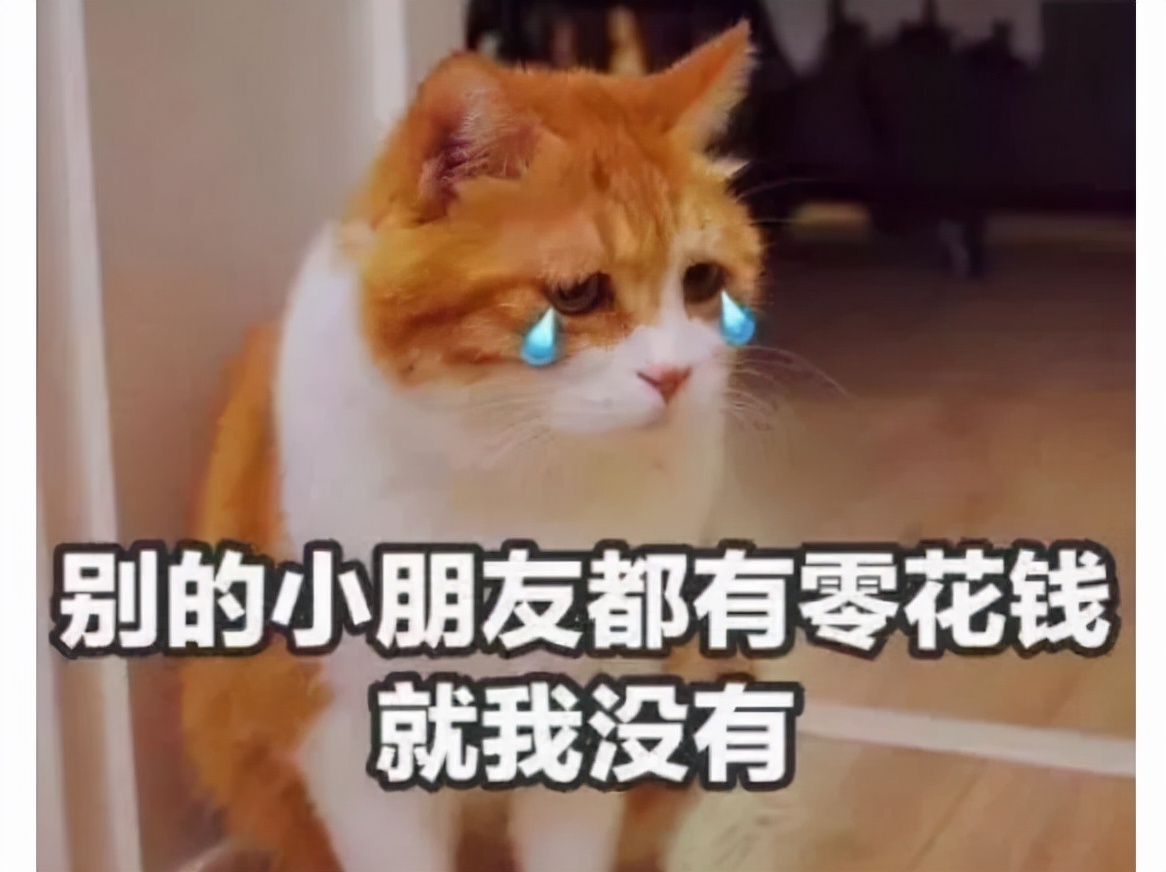 大学生没钱了咋办？想尽各种办法要生活费，父母回复让人笑出眼泪