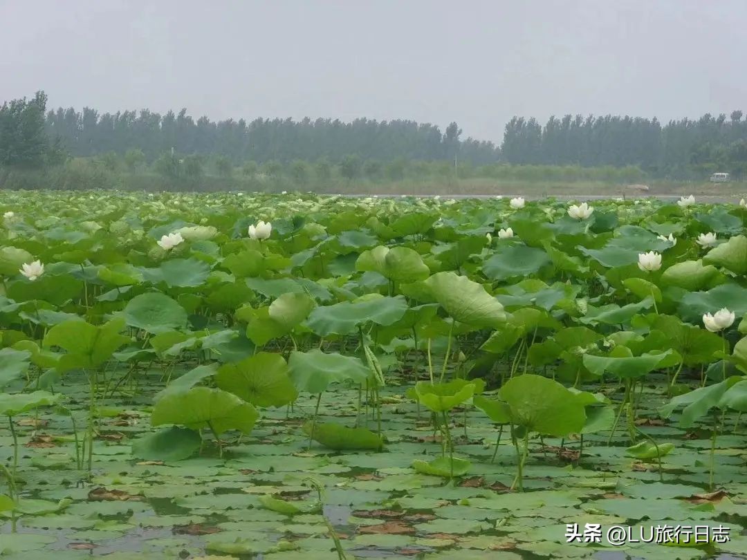 历尽沧桑是什么意思（苍桑）-第24张图片-巴山号