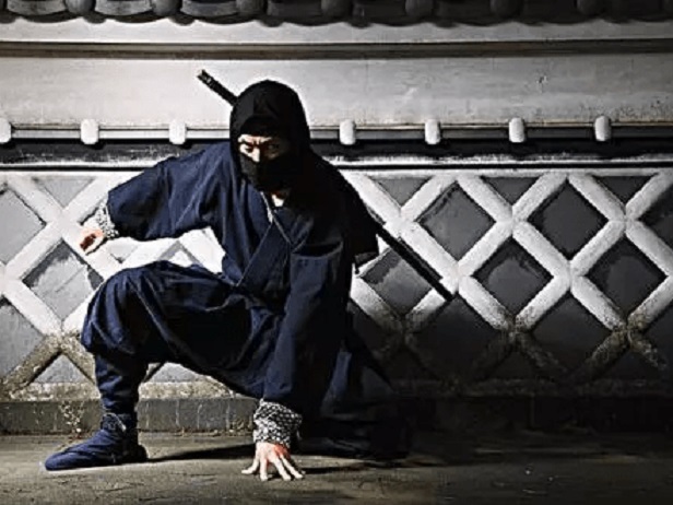 “分赃不均”大打出手，日本一度“全民皆谍”！妓女积极偷密码本