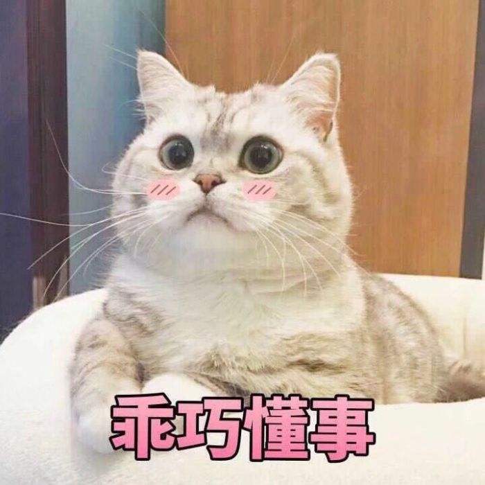 GUCCI：别问我真假，别问我真假，别问我真假，重要的事情说三遍