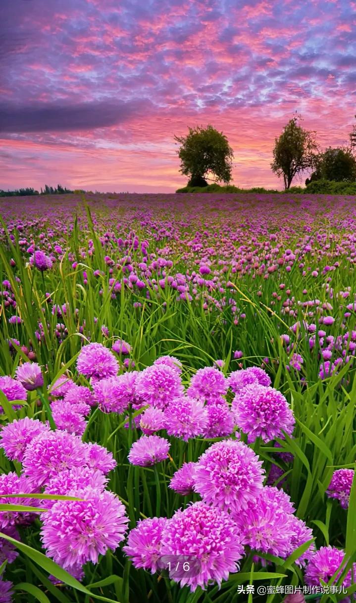 大自然美景,如诗如画,令人心旷神怡