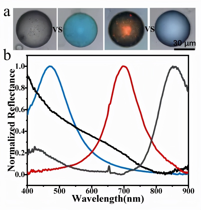 天津大学研发复杂光子结构的高效制备策略，有望作为环保光子颜料