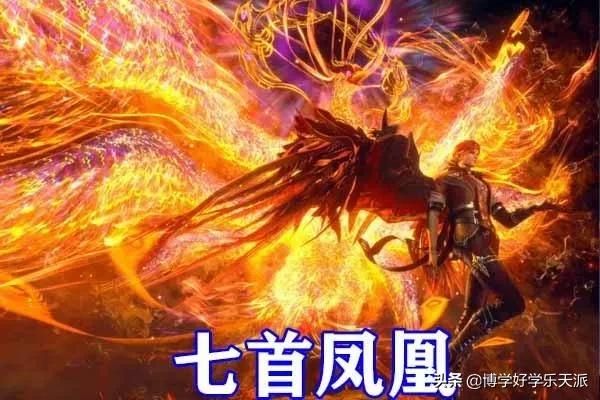 《斗罗大陆》武魂品质？难道真的武魂决定未来？