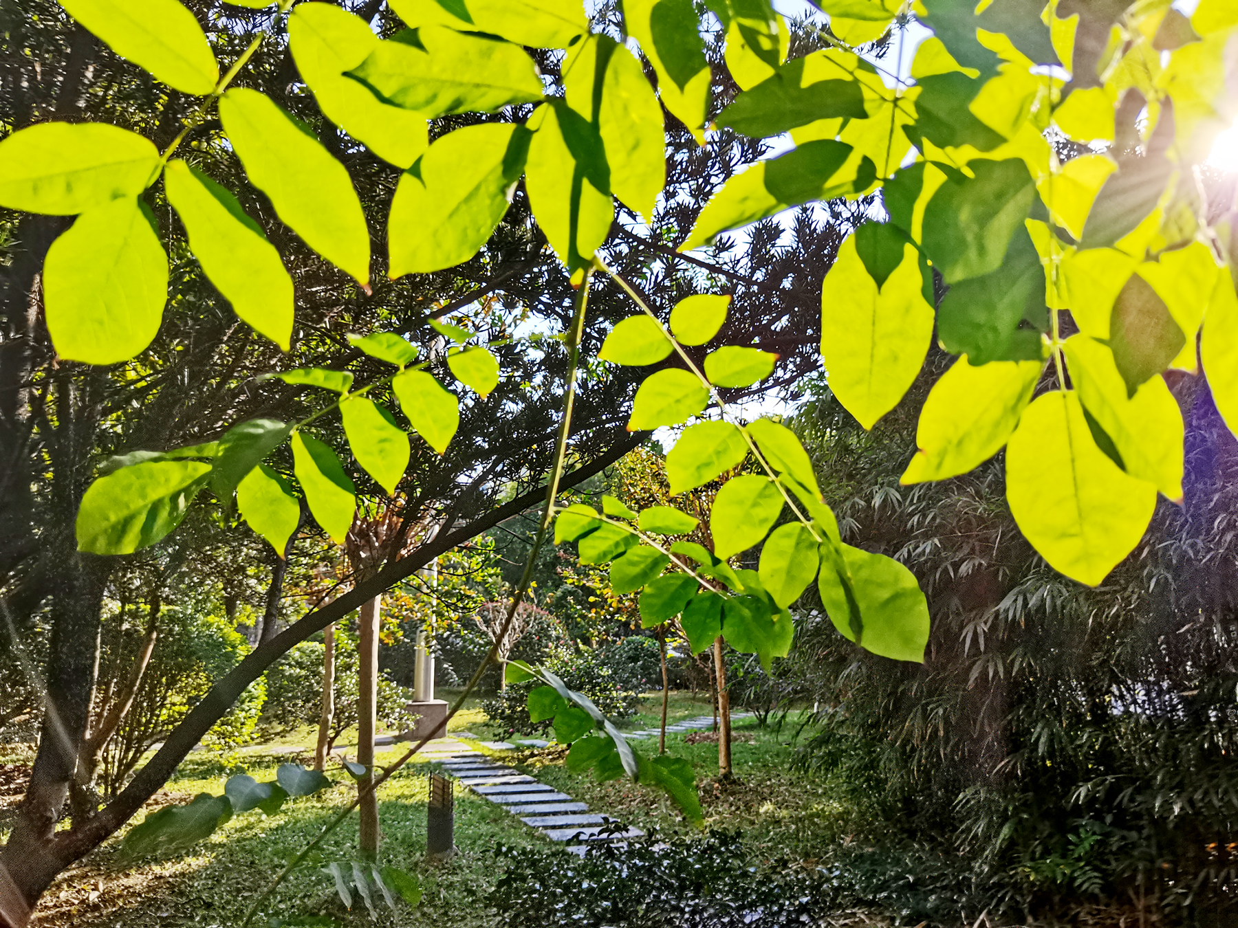 (gang)ɵҪＰԸص(dian)ɵҪ(wu)Ըص¼(jian)-12ͼƬ-(jing)Ʒ