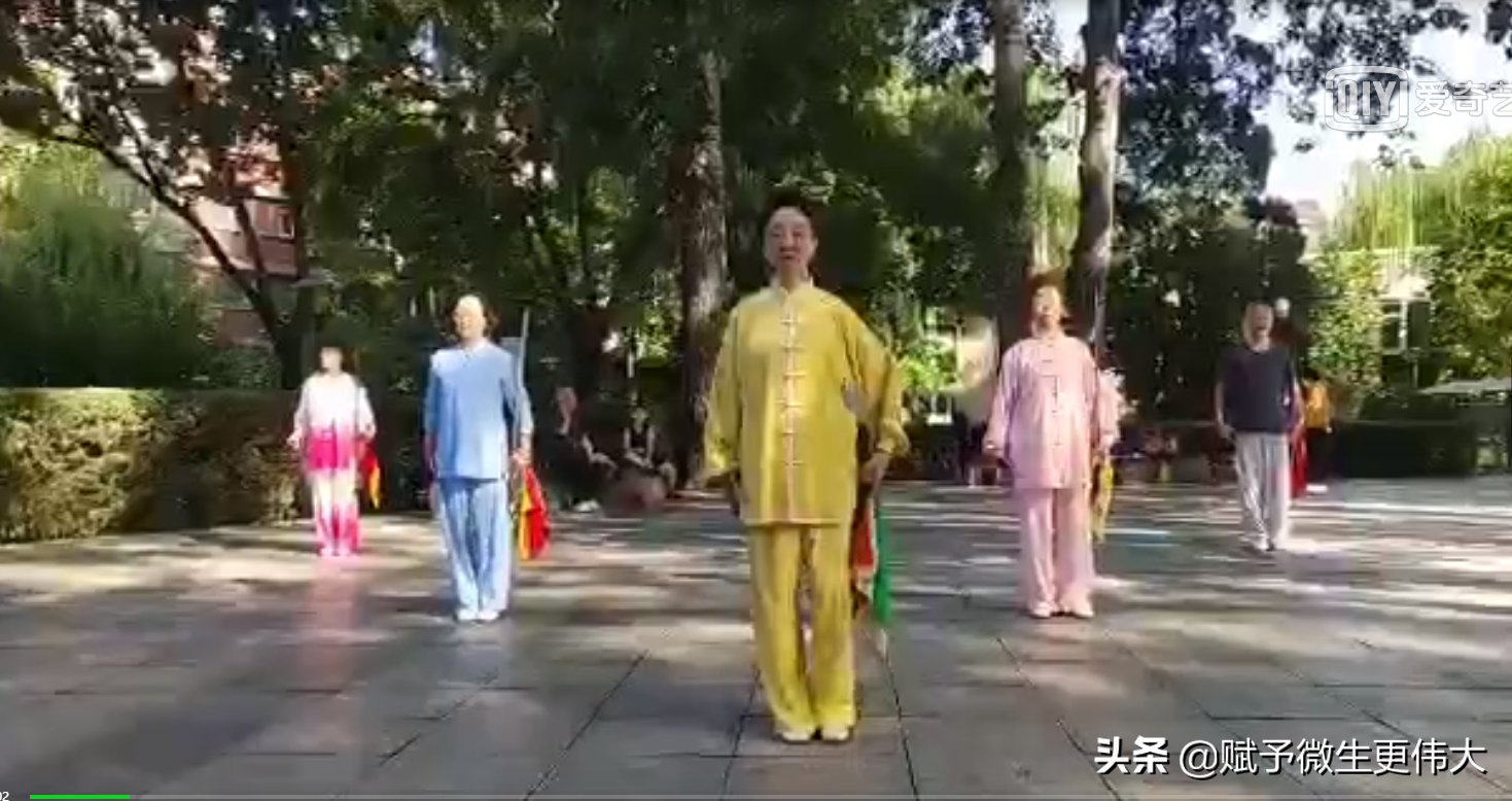 举一刀——观杨氏太极刀德胜门人定湖公园工作站表演