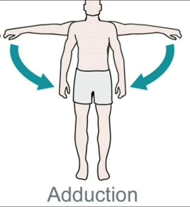 运动模式有什么用（外展与内收对运动的重要意义）