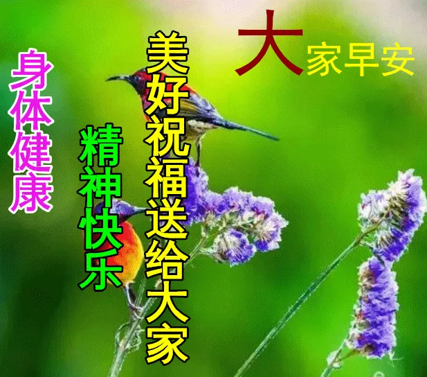 2022年朋友圈新版早安祝福语录，虎年早安正能量语录段子