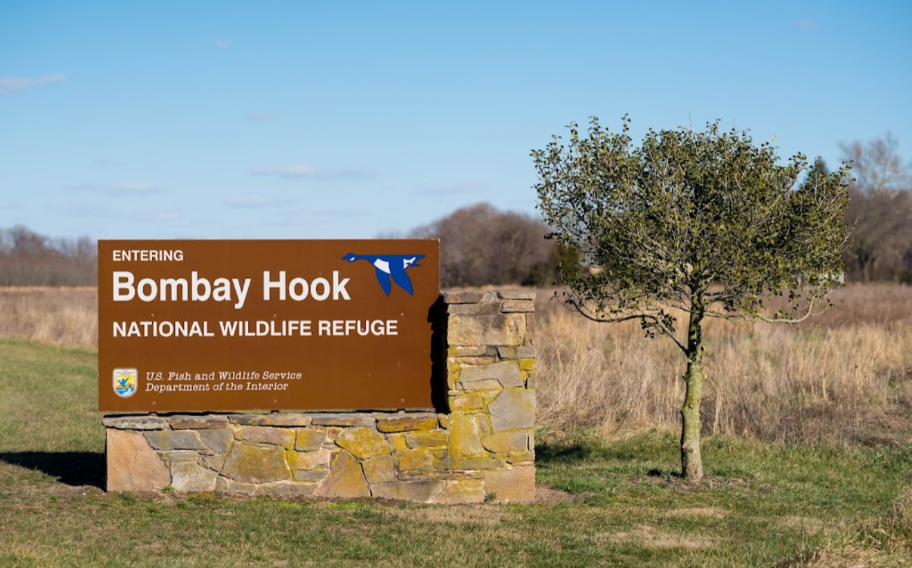 自驾北美——美国第二最小州：特拉华州