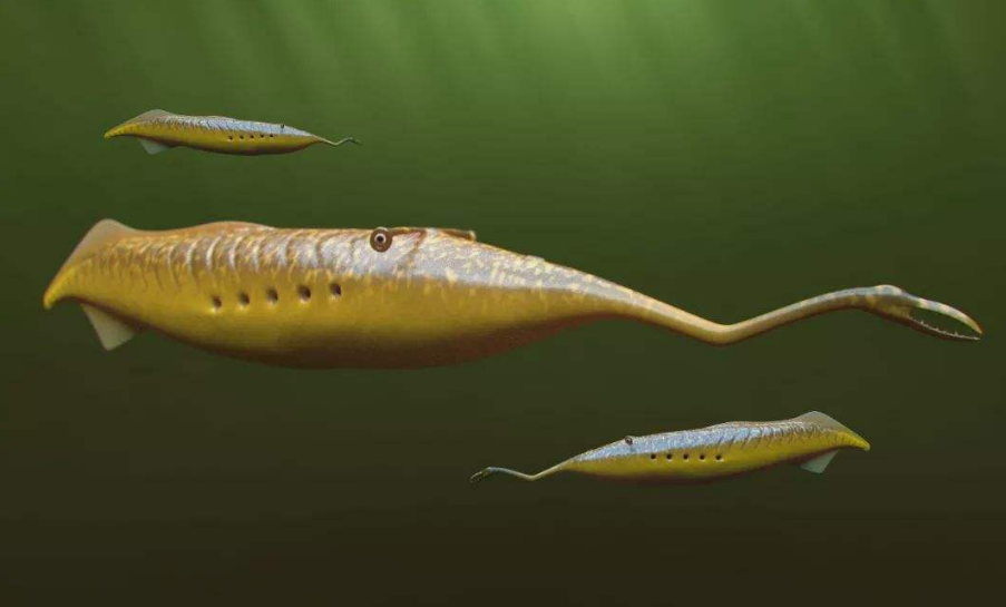 3����ǰ��һ�š���˿������Ƕ��ʯ���У��ҿ�һ��ʷǰ���۷�ʱ��