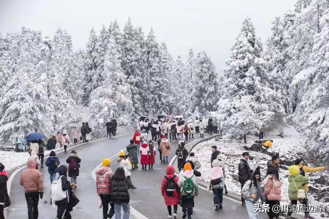 重庆哪里滑雪(重庆5个玩雪胜地，最快2小时可到达)