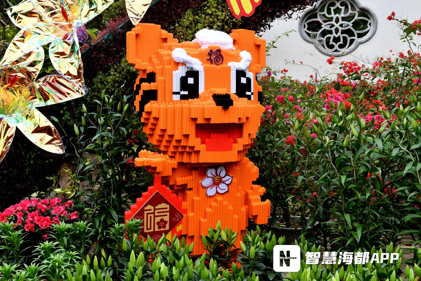 太靓啦！春节即将来临，福州17个公园换上“新装”