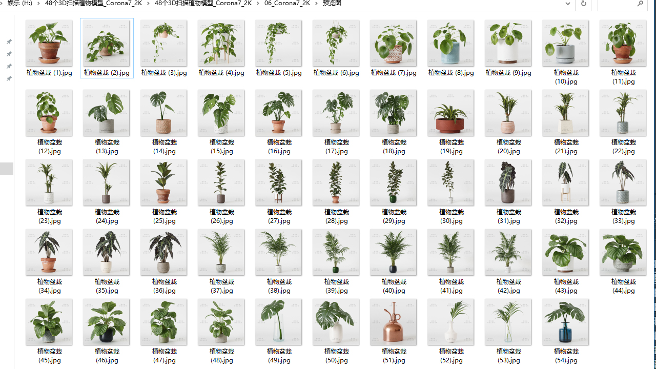 高质量3D植物库下载