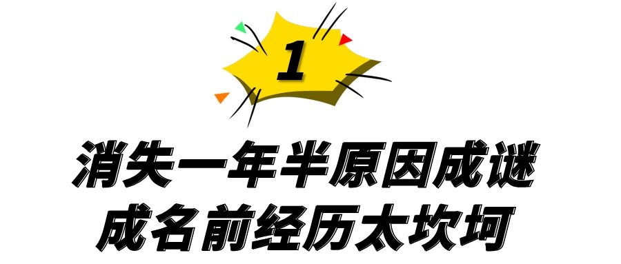 欧阳夏丹简历(央视“国脸”欧阳夏丹，销声匿迹一年半，离职原因成谜)