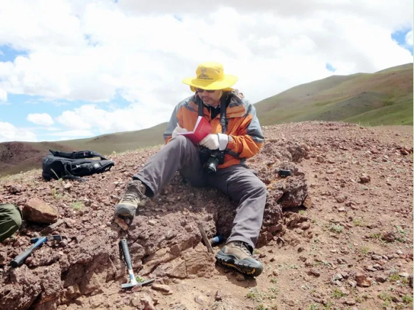 把恐龙“搬”上校徽，坐拥“世界之最”！四川这所大学“火”遍全网！