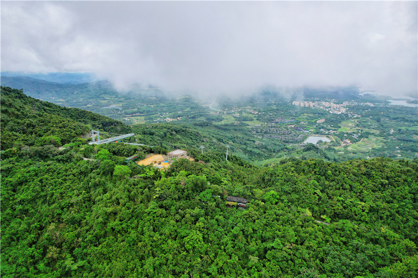 自驾海南，探寻雨林秘境，黎族村落到茶园深处，4天3晚游玩全攻略