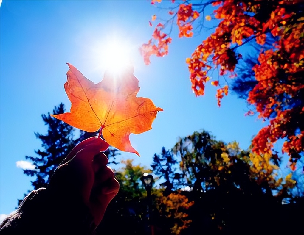 发朋友圈经典的情感语录文案