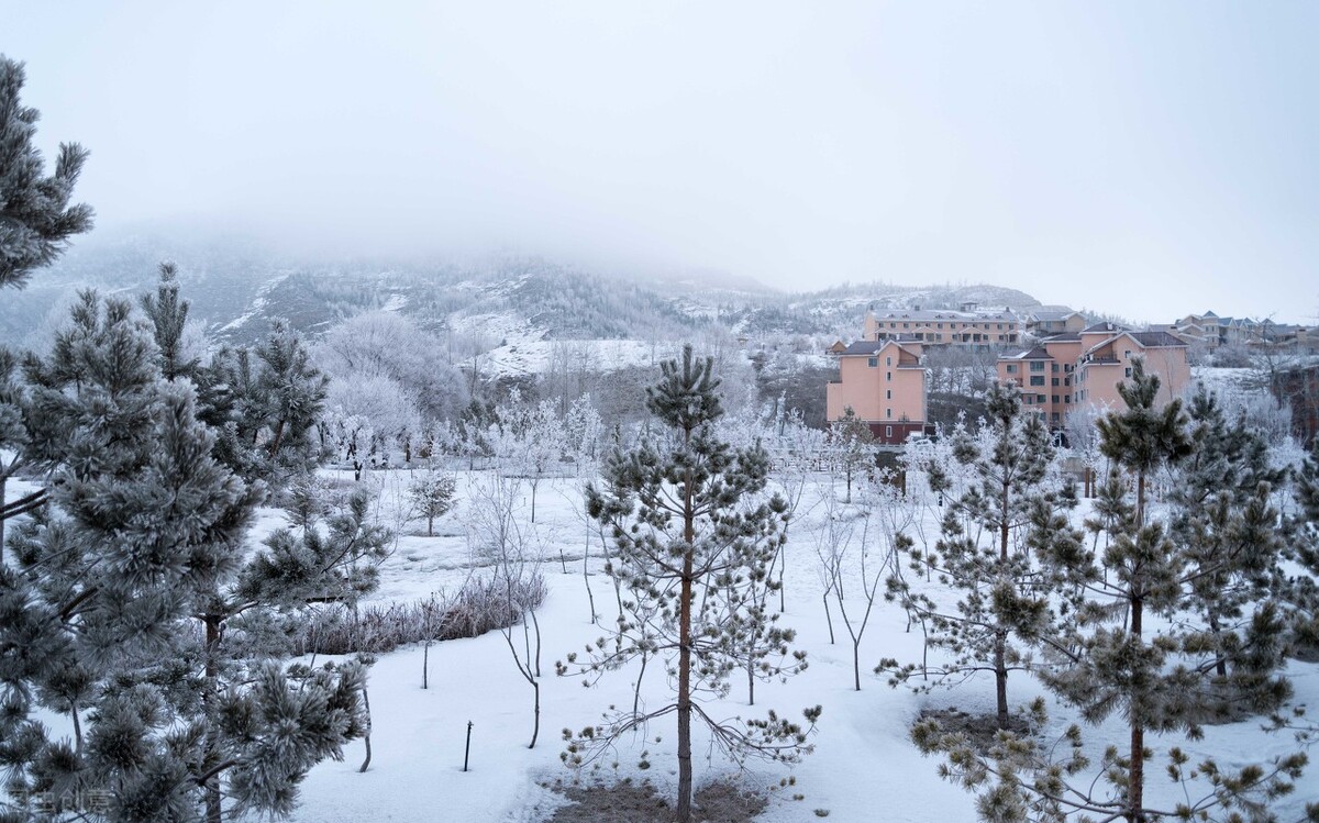 一场雪引起的思念之情