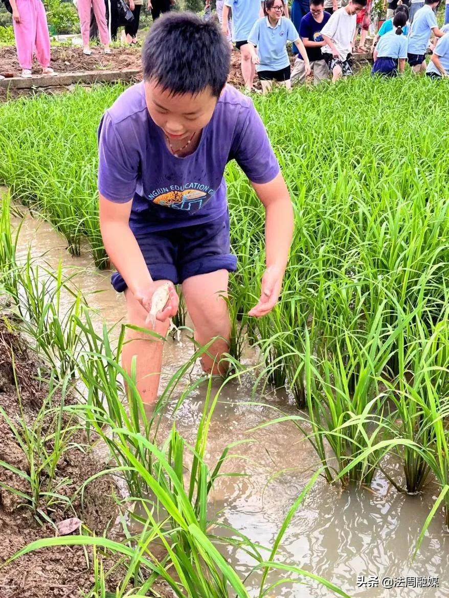 澧县王家厂镇：盘活闲置资源 研学基地促增收