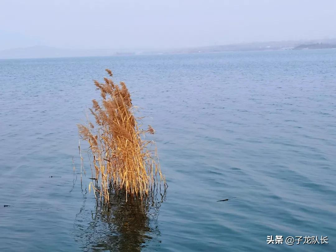 游古村，观“大海”，济南出发一日休闲自驾（附导航位置）