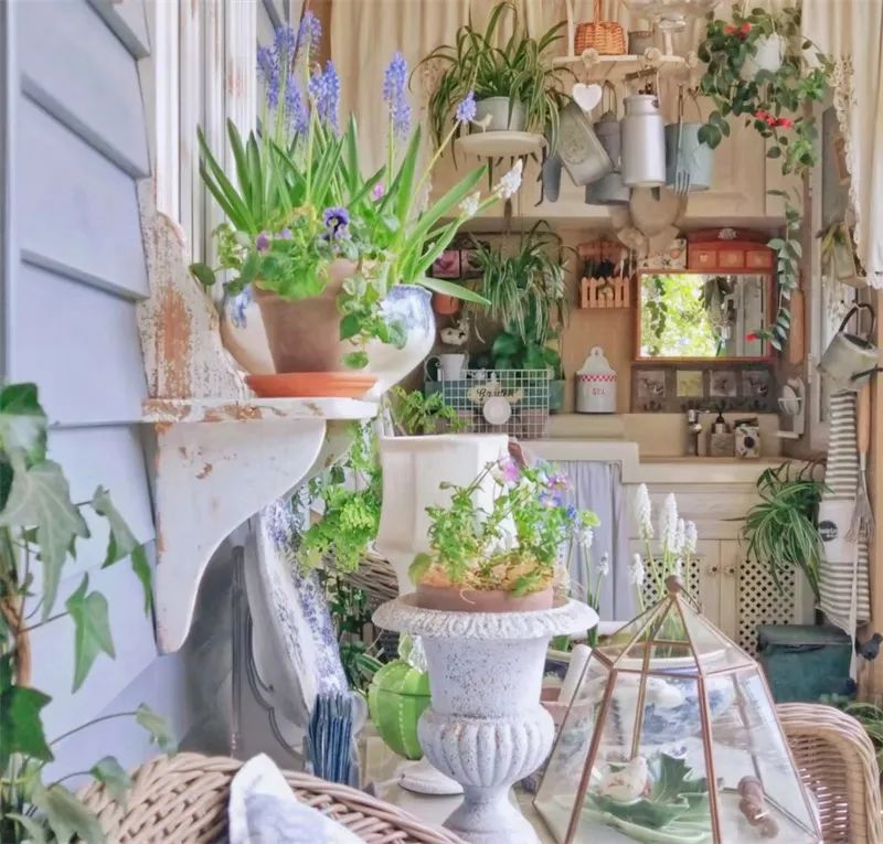 阳台花园，在这个面积不大的地方造梦，美了岁月，醉了时光