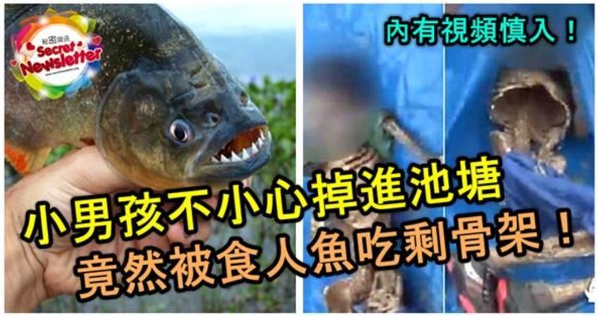 柳州公园惊现“食人鱼”！满口利齿模样吓人，物种入侵有多严重？