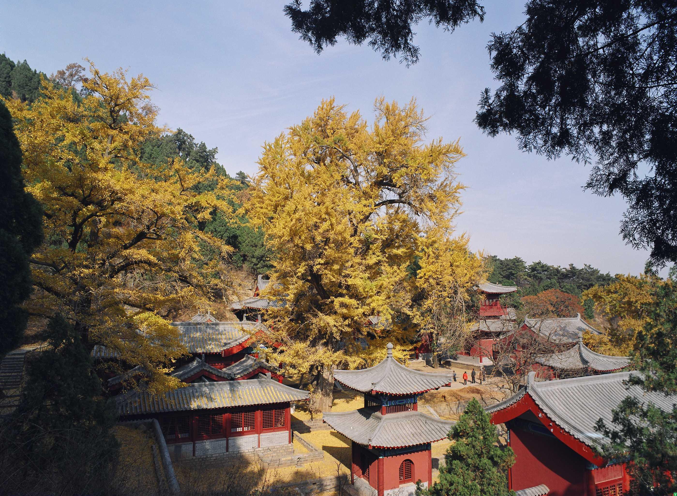 山东十大冷门景点，景美人少好玩