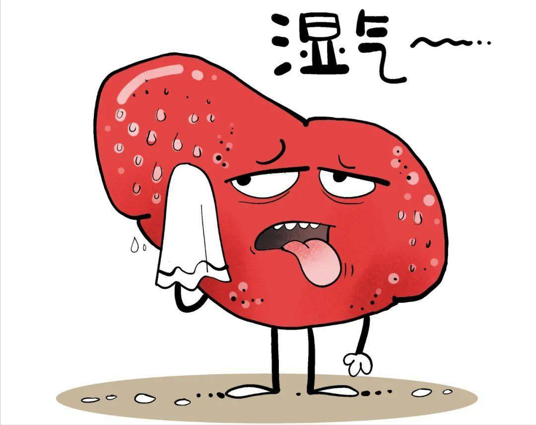 湿气重怎么排湿最有效 身上有湿气怎么排出来-好经验