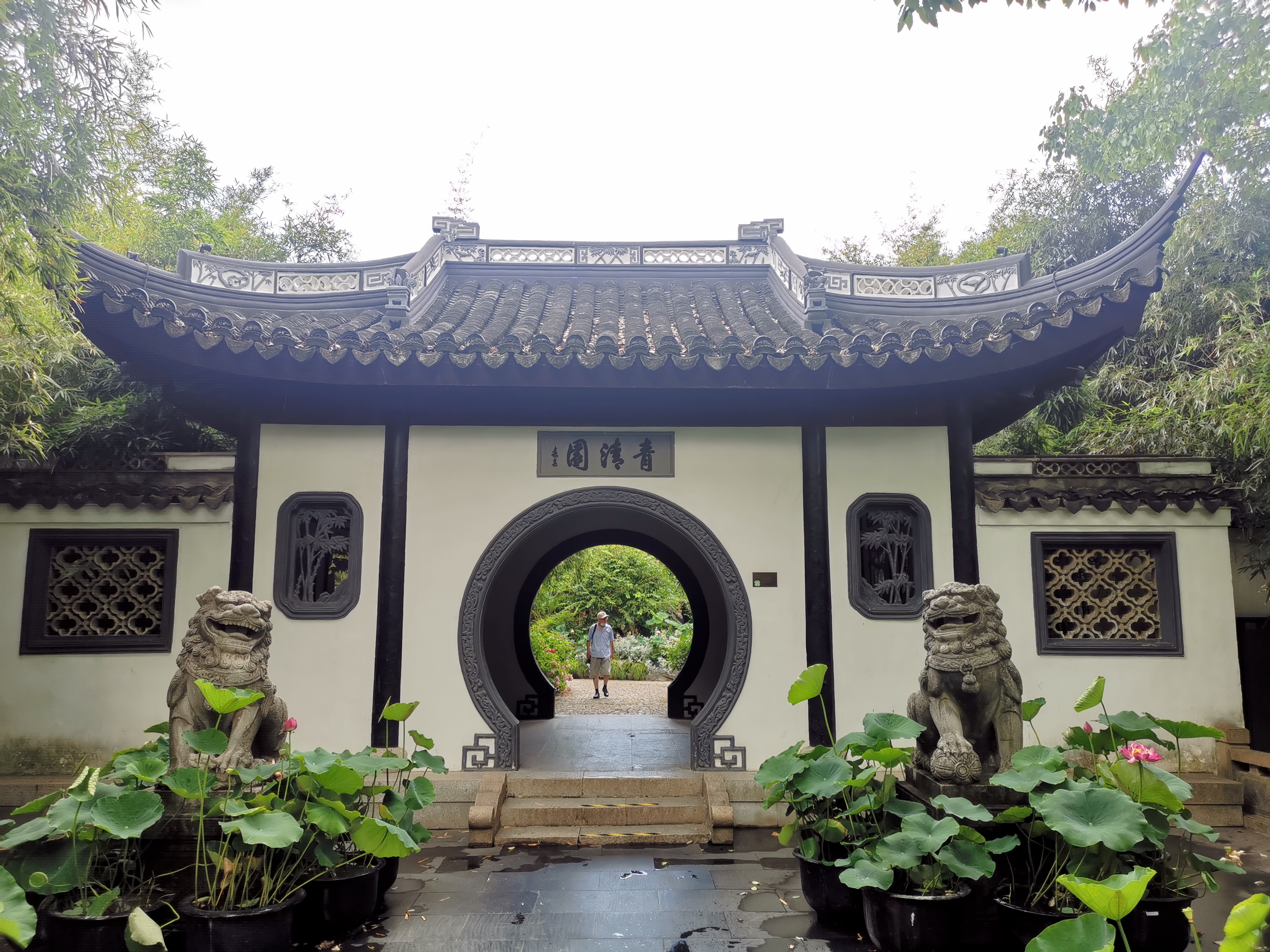 千年古鎮南翔,不僅僅有小籠
